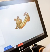 Смоделируем в 3D вашу будущую улыбку по этапам